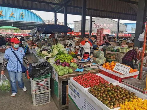 雙峪農副產品批發市場 筑牢疫情防線，守護百姓“菜籃子”安全